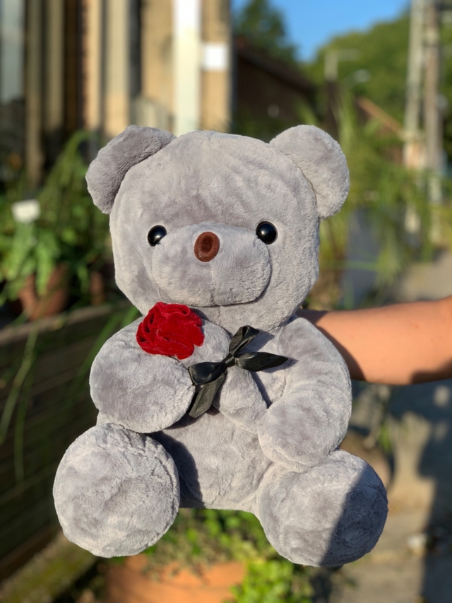 Urso Pelúcia 45cm Urso Pelúcia 45cm